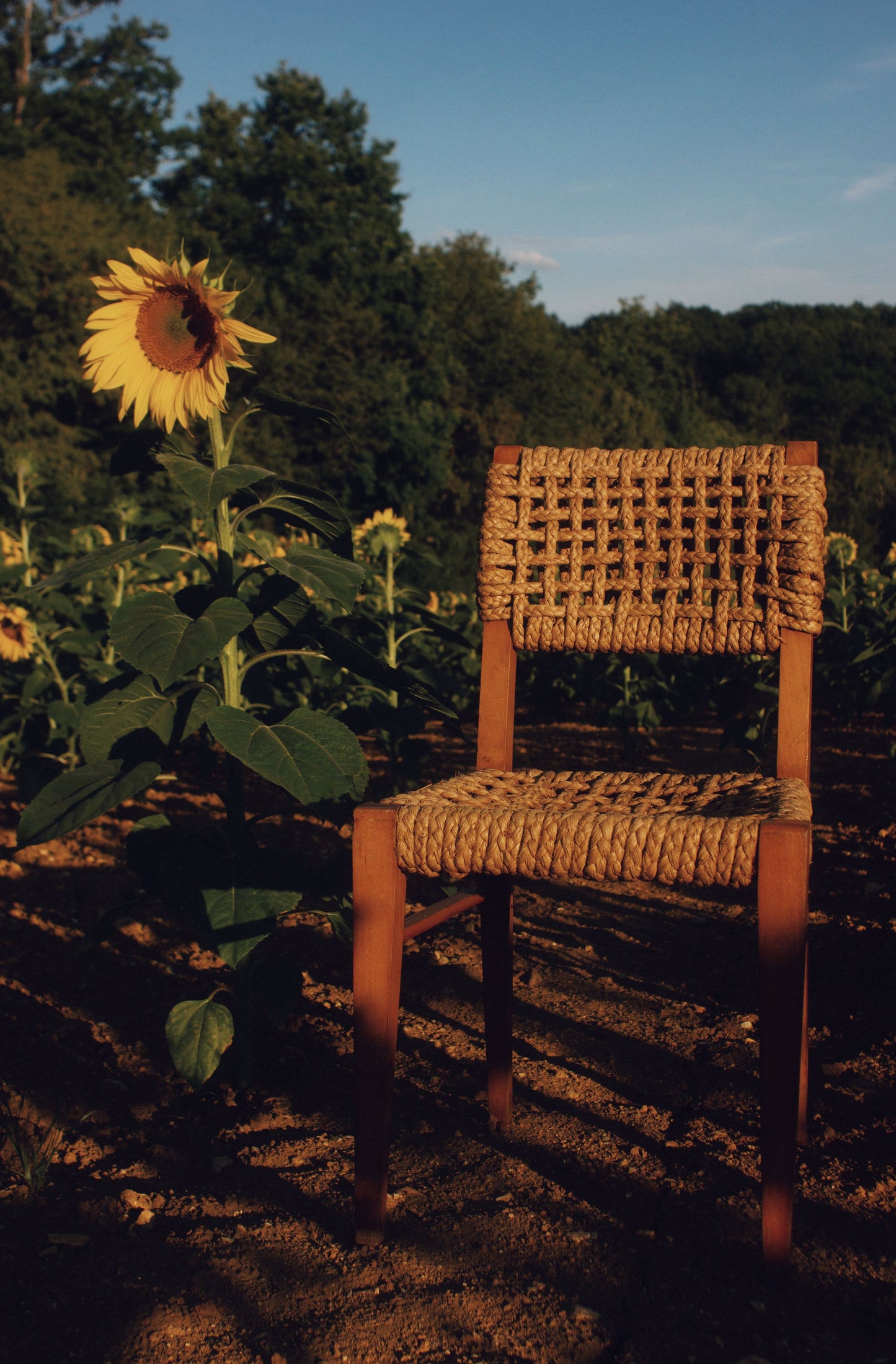 Chaise corde et bois par Audoux Minet pour Vibo, 1950