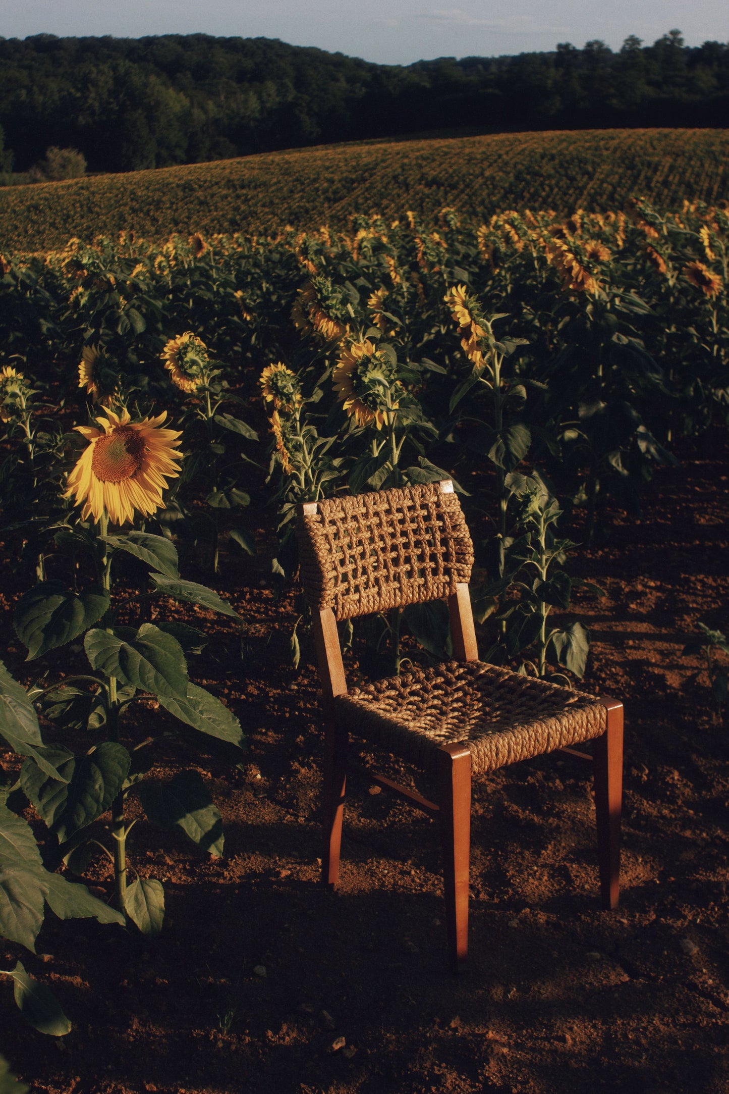 Chaise corde et bois par Audoux Minet pour Vibo, 1950