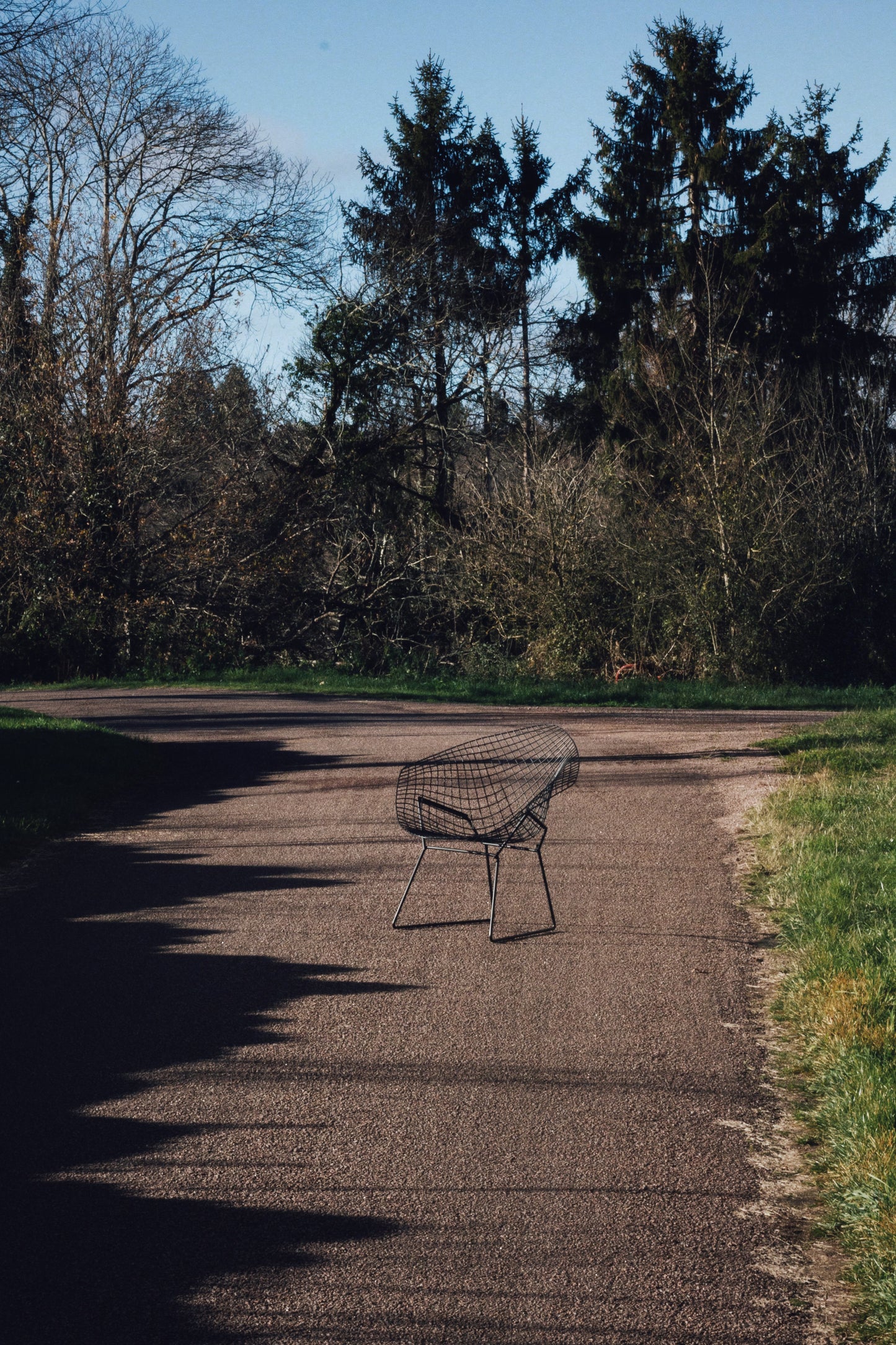 Fauteuil Diamond Chair, Harry Bertoia, 1960