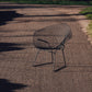 Fauteuil Diamond Chair, Harry Bertoia, 1960