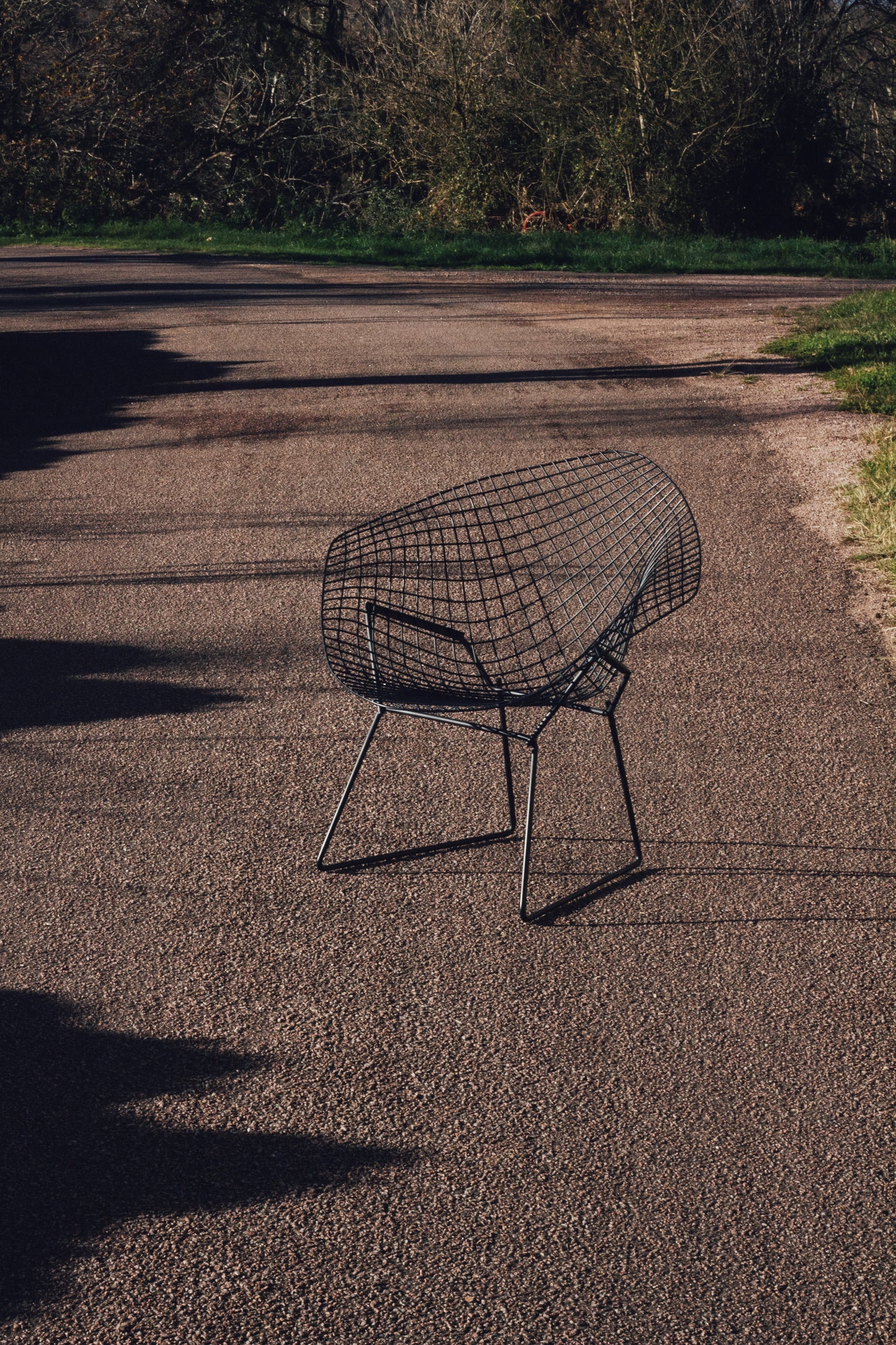 Fauteuil Diamond Chair, Harry Bertoia, 1960