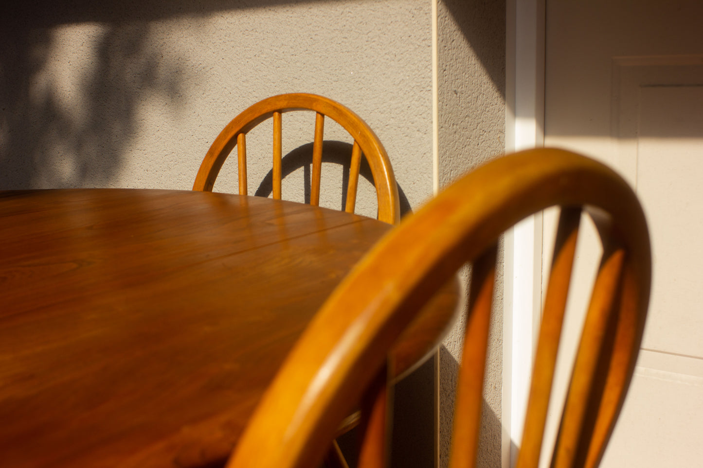 Table ronde à rabat Ercol, 1960