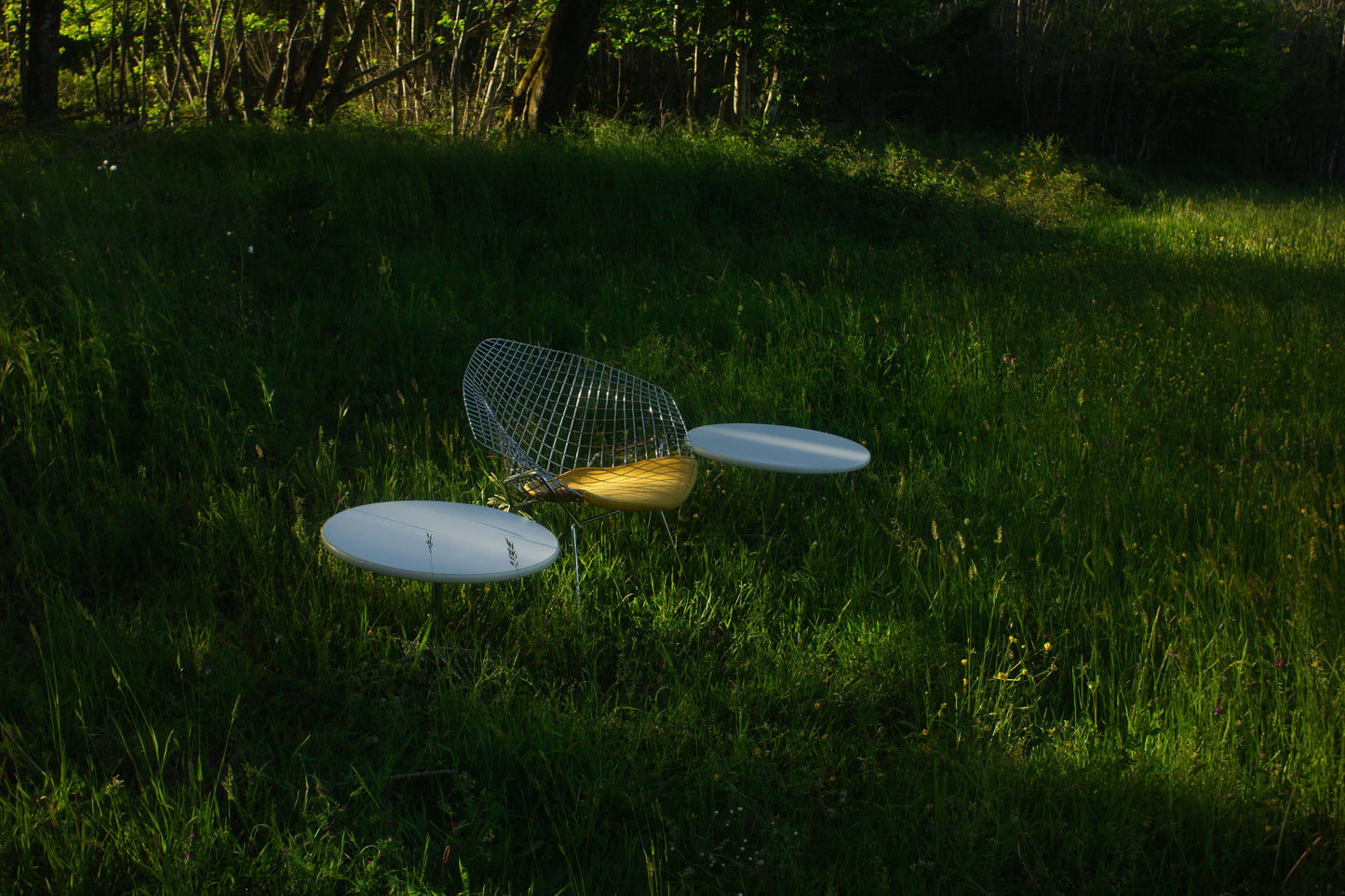 Fauteuil Diamond Chair, Harry Bertoia, 1960