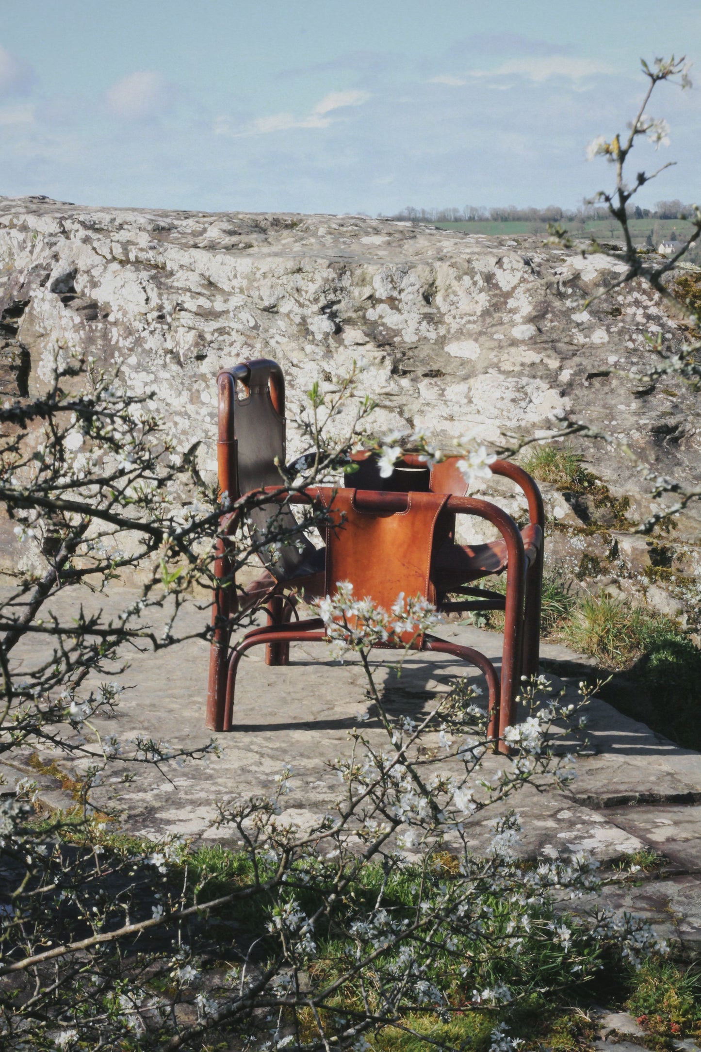 Fauteuil "safari" en cuir et bambou par Tito Agnoli, 1960