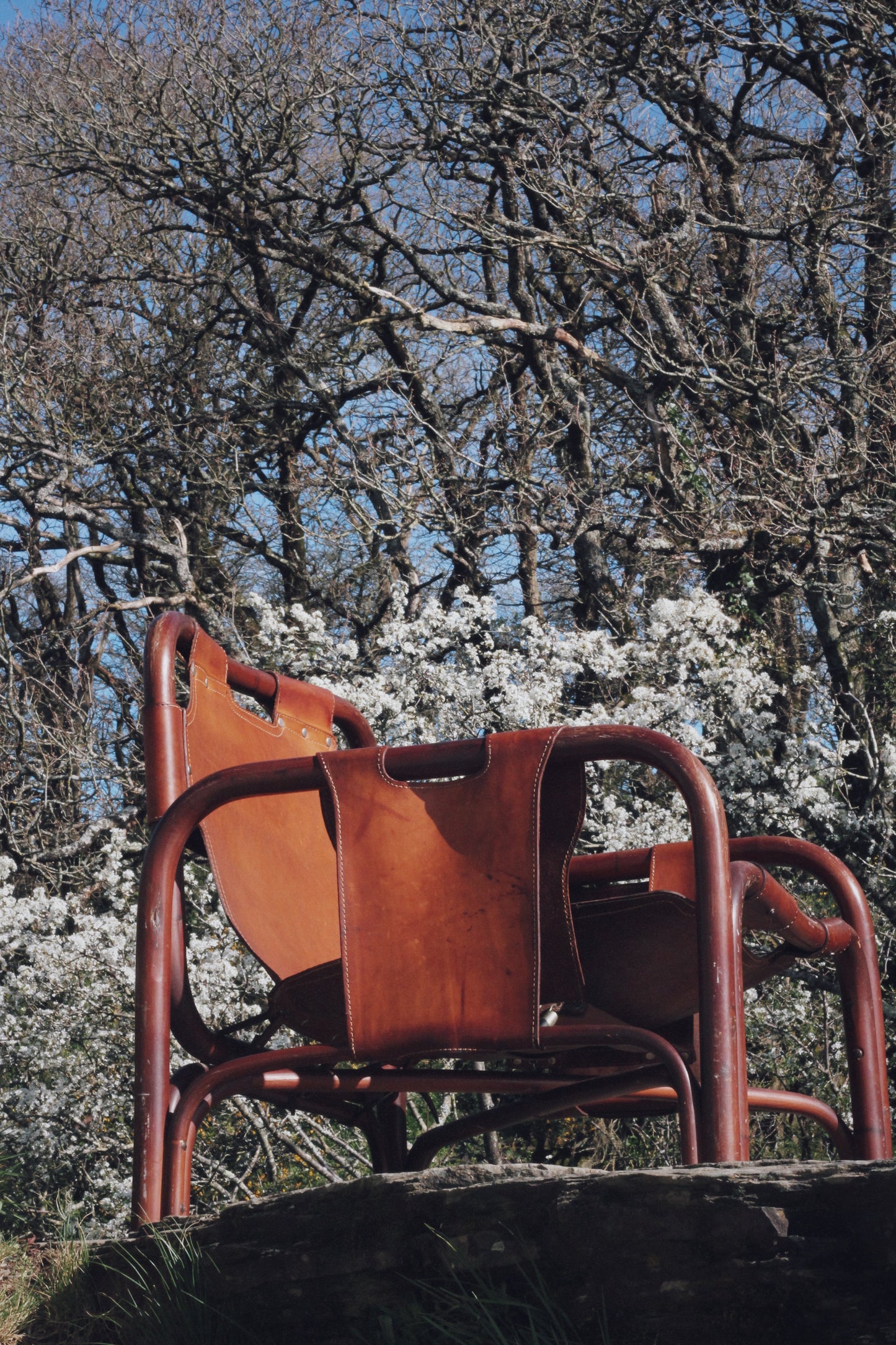 Fauteuil "safari" en cuir et bambou par Tito Agnoli, 1960