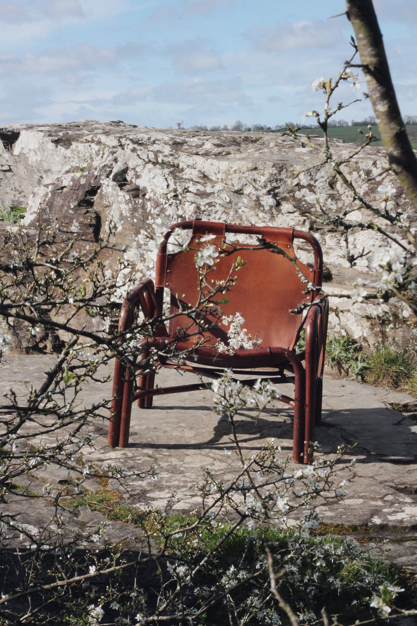 Fauteuil "safari" en cuir et bambou par Tito Agnoli, 1960