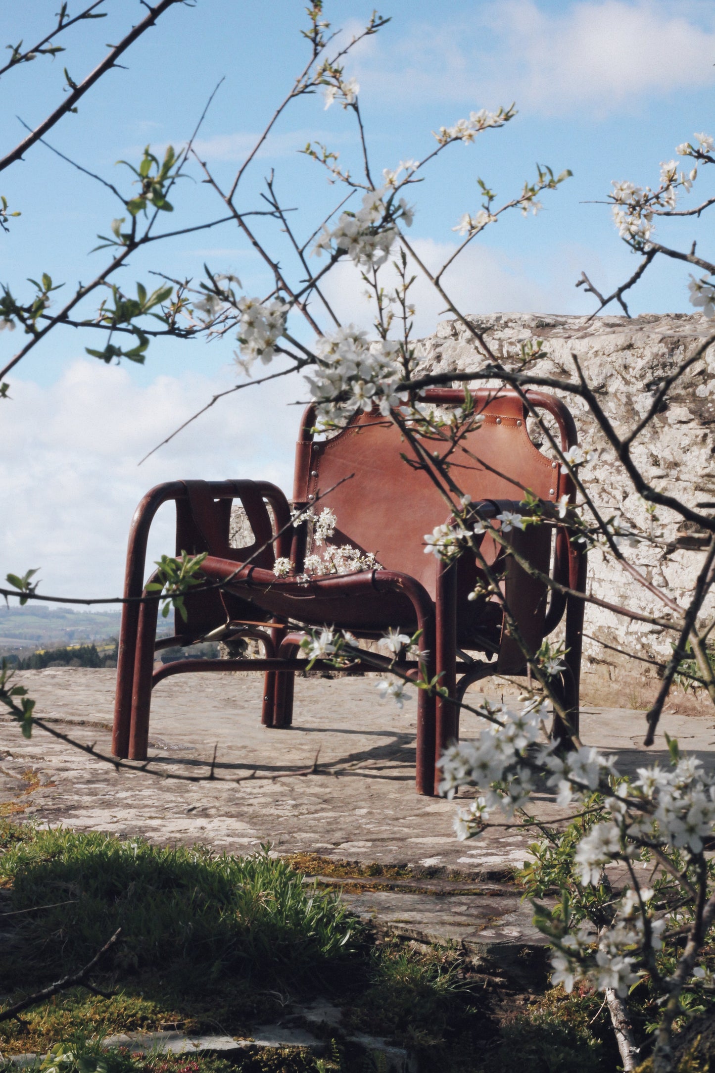 Fauteuil "safari" en cuir et bambou par Tito Agnoli, 1960