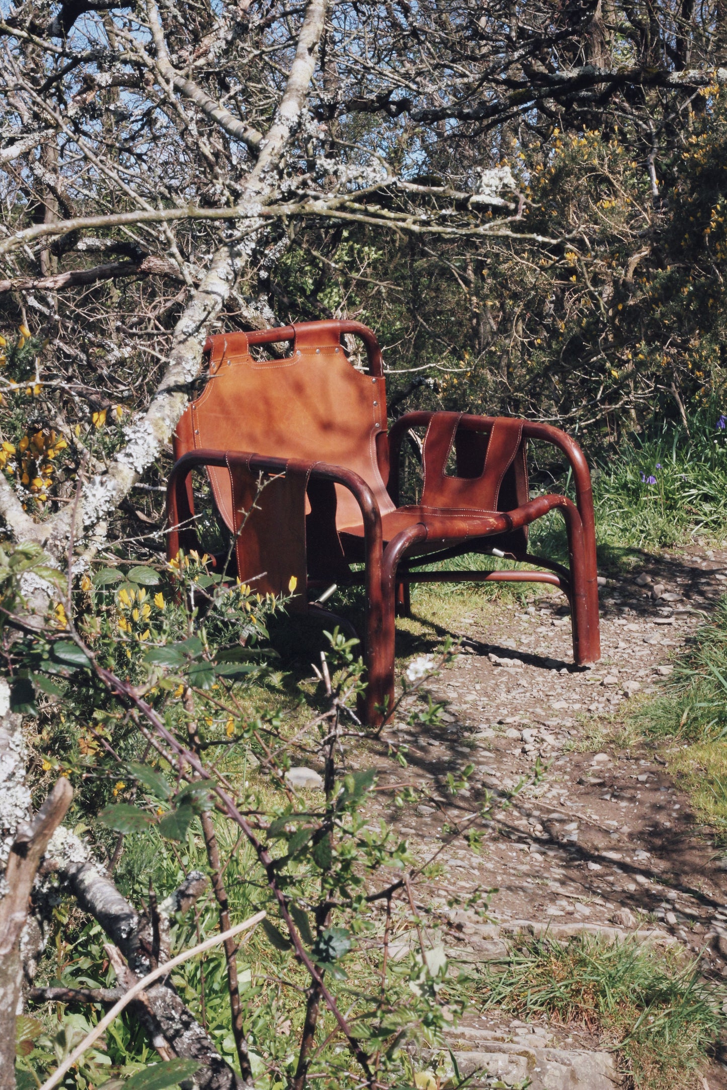 Fauteuil "safari" en cuir et bambou par Tito Agnoli, 1960