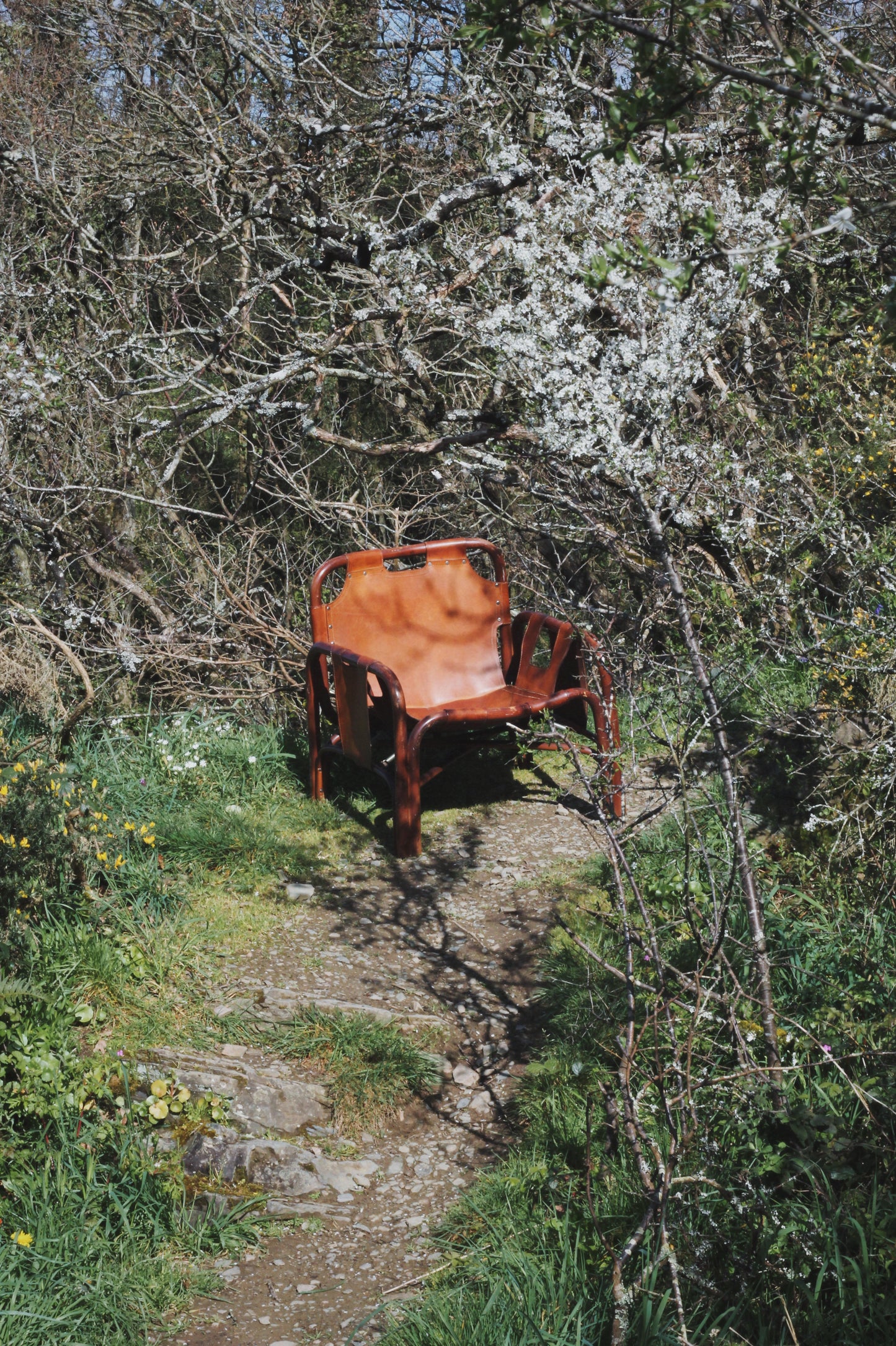 Fauteuil "safari" en cuir et bambou par Tito Agnoli, 1960