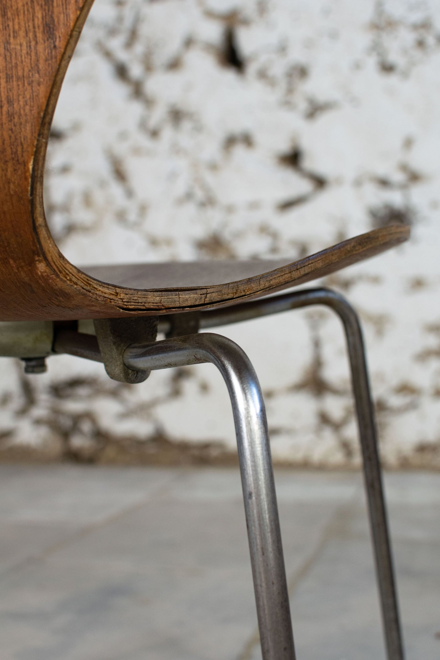 Chaise série 7 par Arne Jacobsen pour Fritz Hansen, 1955